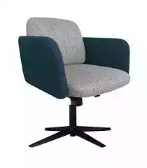 Furniture lounge chair